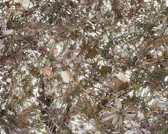 Metempsychosis 2022-3 by Ji Zhou contemporary artwork Photography
