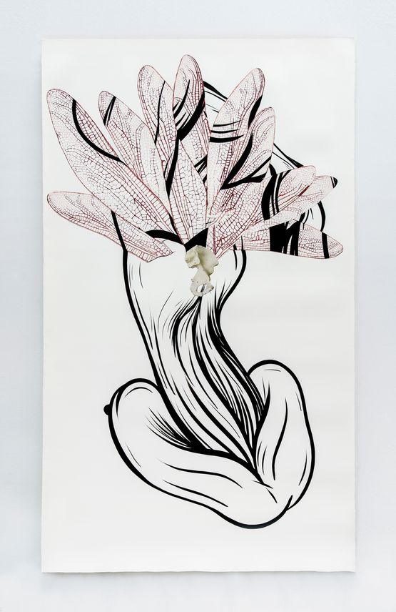 Libelulis corpus by Rodolpho Parigi contemporary artwork Drawing