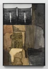 Atlas of the Concealed IV by Biraaj Dodiya contemporary artwork works on paper