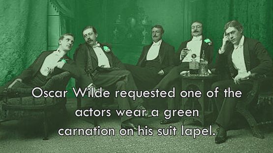 Green Carnation by T.J. Wilcox contemporary artwork Moving Image