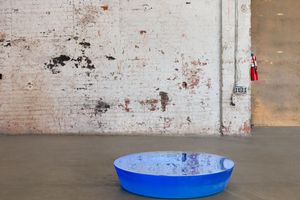 Roni Horn