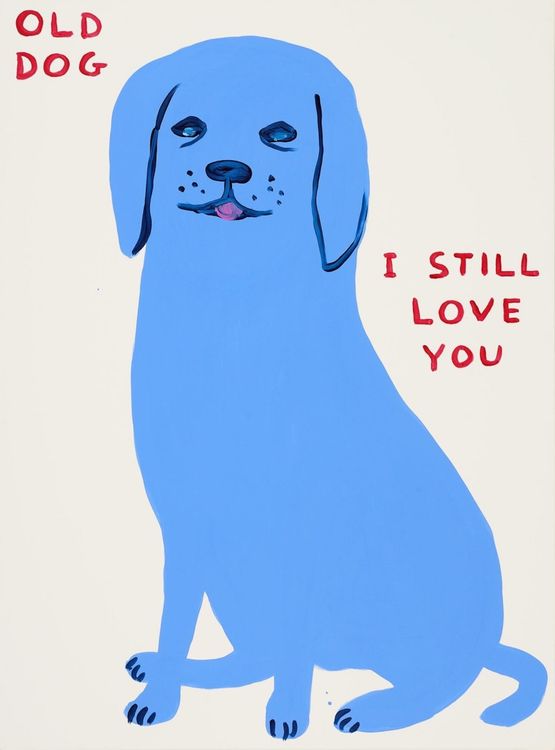 Old Dog I still Love You by David Shrigley contemporary artwork Print