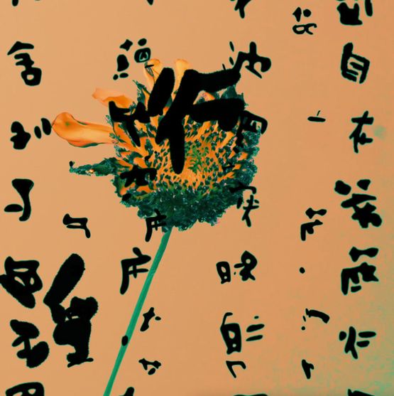 Grain Rain Series-Flower with Flying Text 16-Heart Sutra Version by Hung Keung contemporary artwork Moving Image