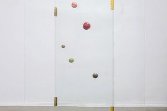 Contemporary art exhibition Nina Canell Reijiro Wada 42 Days at SCAI PIRAMIDE Japan