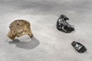 Danh Vo