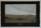 Lepidium kirkii by Michael Shepherd contemporary artwork Works on Paper
