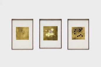 Jo Mcgonigal contemporary artist