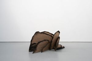 Manal Aldowayan