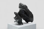 Sui Jianguo contemporary artist