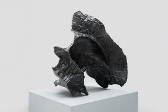Sui Jianguo contemporary artist