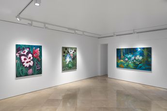 Contemporary art exhibition Inka Essenhigh Inka Essenhigh at Victoria Miro Venice Italy