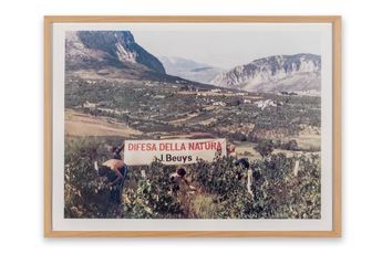 Contemporary art exhibition Joseph Beuys In Defense Of Nature at The Broad Los Angeles United States