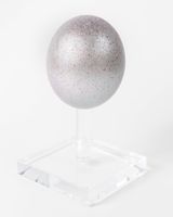 Untitled by John Knuth contemporary artwork sculpture