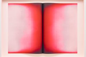 Anish Kapoor