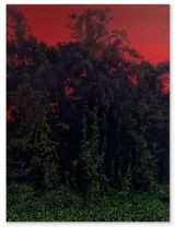 Suffocation Red by Bruno Gadenne contemporary artwork painting works on paper