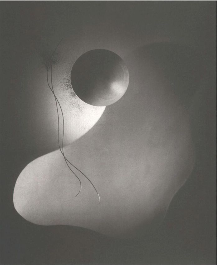 IWATA NAKAYAMA