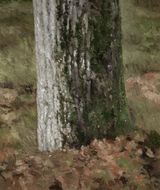 Maurice by Natee Utarit contemporary artwork painting