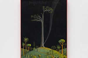 Alex Cerveny