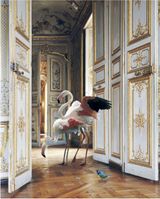 The Grand Monkey Room 2 Chateau de Chantilly by Karen Knorr contemporary artwork print