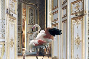 Karen Knorr