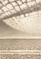 Separated to Unite by Jyothi Basu contemporary artwork drawing