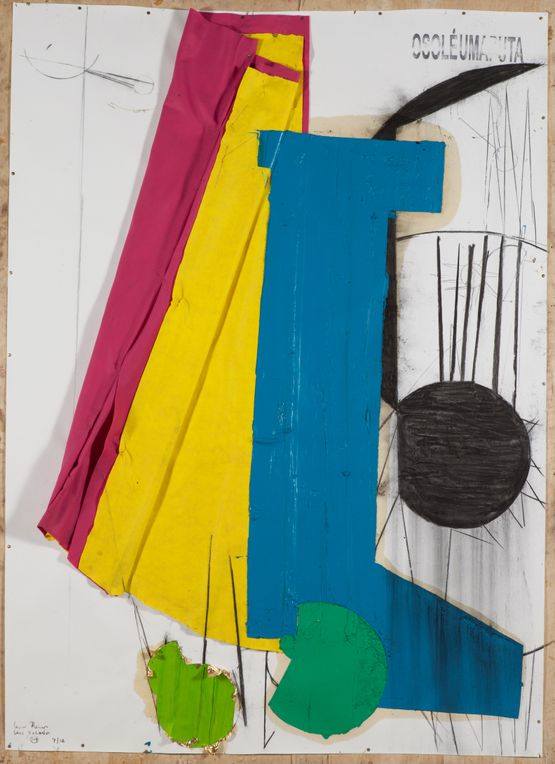 Serie Schreber 30 - O Sol e uma Puta Sol Farao Borboleta by Nuno Ramos contemporary artwork Painting