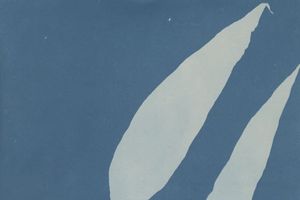 Group Exhibition