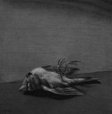 Bird  by Youssef Abdelke contemporary artwork drawing works on paper