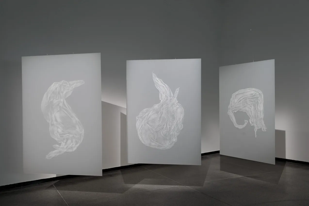 Group Exhibition