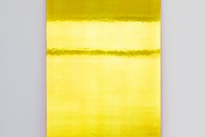 Ann Veronica Janssens