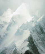 Forces 21 by Sonja Braas contemporary artwork photography print