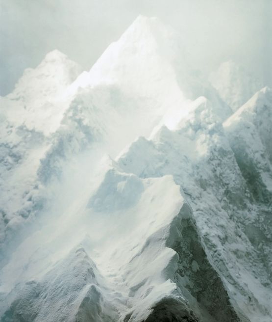 Forces 21 by Sonja Braas contemporary artwork Photography