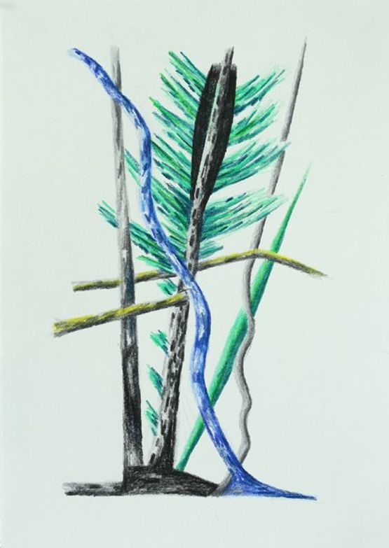 Auffallige Bedeckt- und Nacktsamer 13 by Hartmut Neumann contemporary artwork Works on Paper