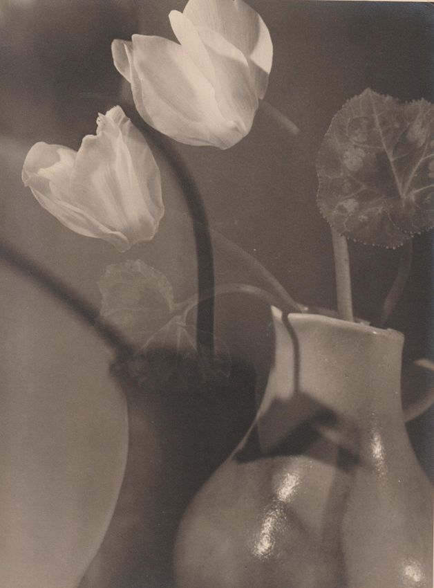 MAX BAUR