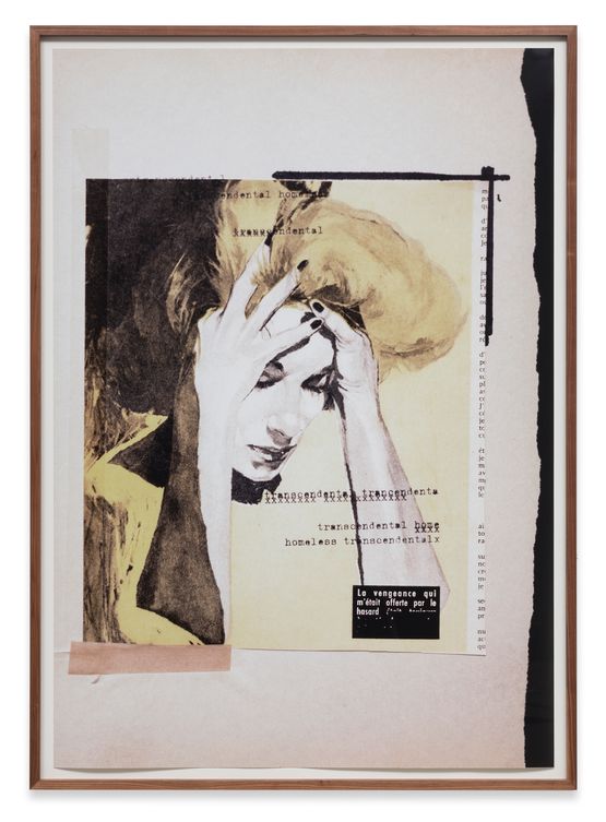 Untitled transcendental homeless... by Astrid Klein contemporary artwork Mixed Media