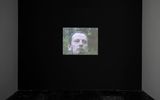 Mormanul de Balegar The Dung Heap by Gheorghe Ilea contemporary artwork moving image
