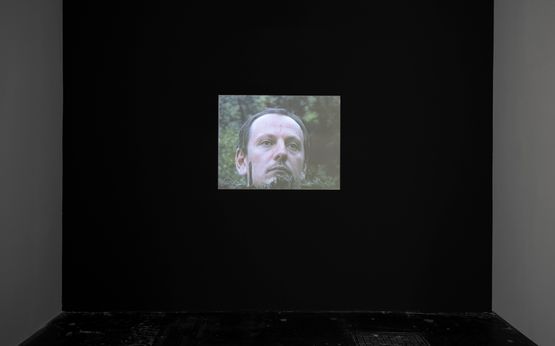 Mormanul de Balegar The Dung Heap by Gheorghe Ilea contemporary artwork Moving Image