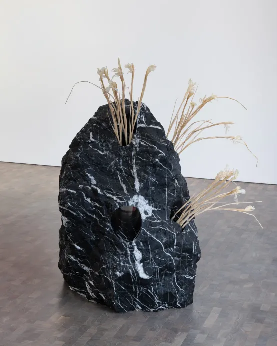 Negentropica 1 by Mika Tajima contemporary artwork Sculpture