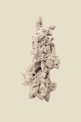 Towards a new geological age by Robert Zhao Renhui contemporary artwork sculpture