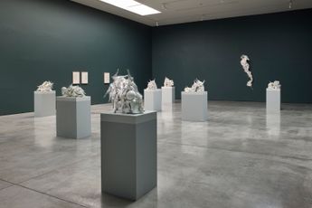 Contemporary art exhibition Rachel Kneebone Raft at White Cube Masons Yard London United Kingdom