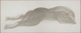 In the Name of Rabbit 1220 by Shao Fan contemporary artwork drawing painting works on paper