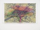 Numbers and Trees Tanzania Series 3 Acacia Tree 4 Kabwa by Charles Gaines contemporary artwork Mixed Media