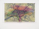Numbers and Trees Tanzania Series 3 Acacia Tree 4 Kabwa by Charles Gaines contemporary artwork mixed media