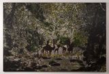Untitled by Daniel Boyd contemporary artwork painting