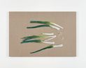 Leek by Helene Appel contemporary artwork Painting
