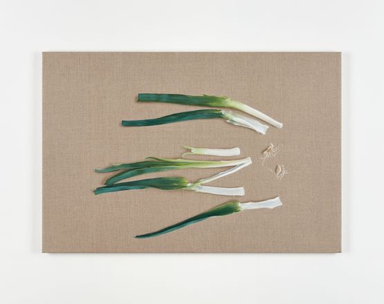 Leek by Helene Appel contemporary artwork Painting