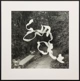 The Sanctuary Hong Kong Path by Gavin Hipkins contemporary artwork photography