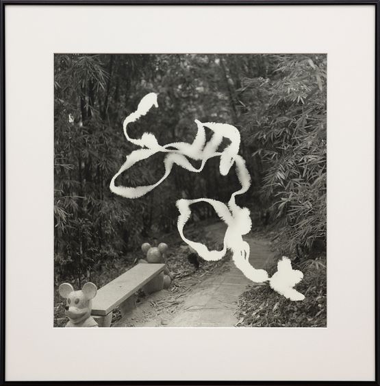 The Sanctuary Hong Kong Path by Gavin Hipkins contemporary artwork Photography
