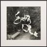 The Sanctuary Hong Kong Path by Gavin Hipkins contemporary artwork Photography