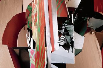 Yamini Nayar contemporary artist